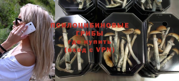 PSILOCYBIN Абдулино