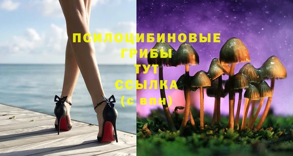 каннабис Абаза