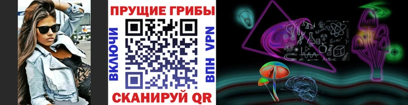 что такое   Судогда  Галлюциногенные грибы Cubensis 